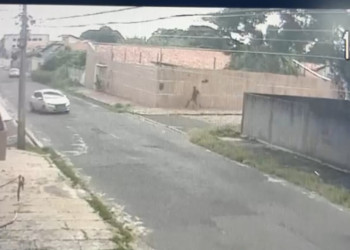 Delegado da PF do Maranhão é baleado durante assalto no bairro Ininga; vídeos